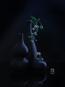  autorstwa Alice Sheng