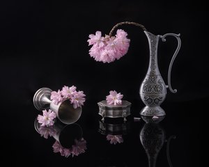  autorstwa Alice Sheng