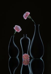  autorstwa Alice Sheng