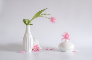  autorstwa Alice Sheng
