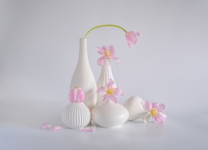  autorstwa Alice Sheng