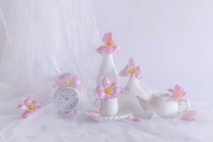  autorstwa Alice Sheng