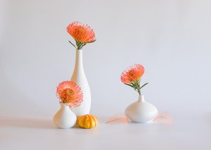  autorstwa Alice Sheng