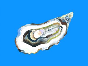 „Blue Oyster” – streszczenie autorstwa Alice Straker