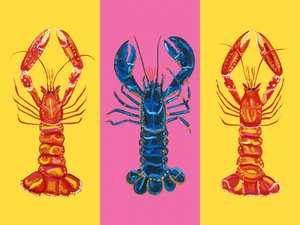 Homar i langustynki Pop Art 2 autorstwa Alice Straker