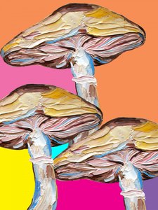Pop-art z motywami grzybów halucynogennych autorstwa Alice Straker