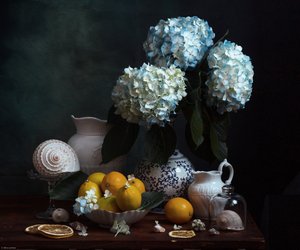  autorstwa Alina Lankina