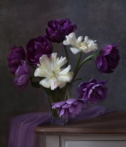 autorstwa Alina Lankina