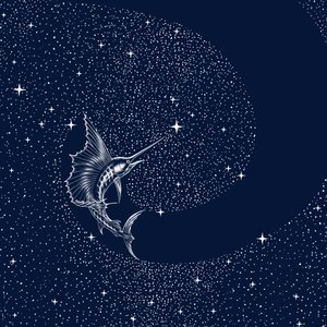 Żaglica niebiańska autorstwa Alirıza ÇAKIR