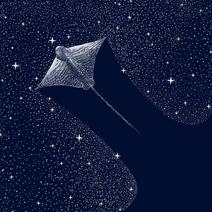 Kosmiczny orzeł morski autorstwa Alirıza ÇAKIR