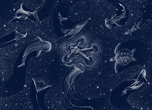 Kosmiczny sen o oceanie autorstwa Alirıza ÇAKIR