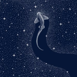 Kosmiczny rekin autorstwa Alirıza ÇAKIR