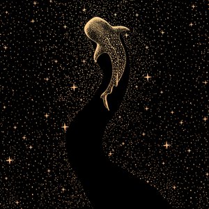 Kosmiczny rekin wielorybi autorstwa Alirıza ÇAKIR