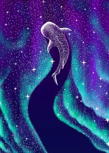 Zorza polarna i rekin wielorybi autorstwa Alirıza ÇAKIR