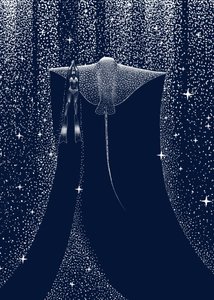 Przewodnik po Starlit Ray autorstwa Alirıza ÇAKIR