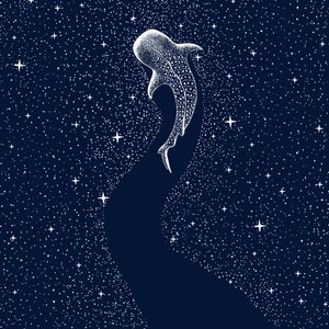 Gwiaździsty rekin wielorybi autorstwa Alirıza ÇAKIR