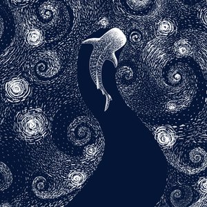 Rekin wielorybi w gwiaździstym oceanie autorstwa Alirıza ÇAKIR