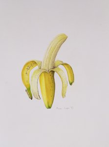 Banan w połowie obrany, 1997