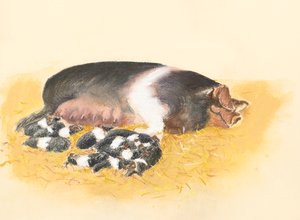 Locha siodło i prosięta, 2019 (pastel) autorstwa Alison Cooper