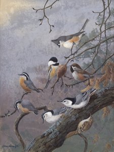 Mieszanka dla ptaków autorstwa Allana Brooksa