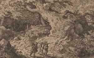 Gęsty Las, prawdopodobnie ok. 16451656. autorstwa Allart van Everdingen
