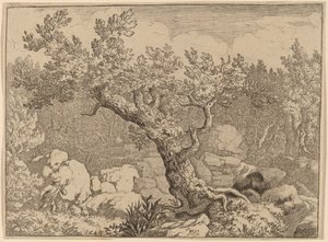 Sportowiec przy Wielkim Drzewie, prawdopodobnie ok. 16451656. autorstwa Allart van Everdingen