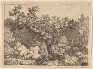 Sportowiec przy Wielkim Drzewie, prawdopodobnie ok. 16451656. autorstwa Allart van Everdingen