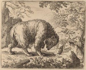 Niedźwiedź rozkojarzony rozmową o miodzie, prawdopodobnie ok. 16451656. autorstwa Allart van Everdingen