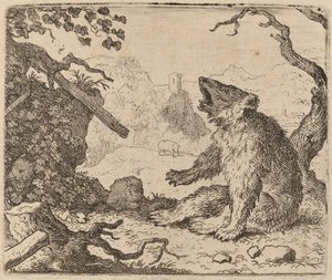 Niedźwiedź wysłany jako posłaniec, prawdopodobnie ok. 16451656.
