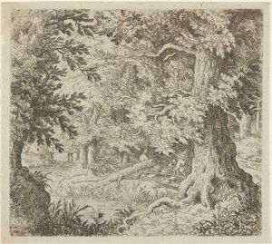 Potok w lesie, XVII wiek. autorstwa Allart van Everdingen