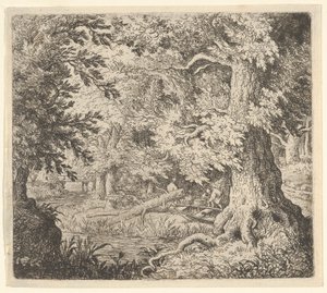 Potok w lesie, XVII wiek. autorstwa Allart van Everdingen