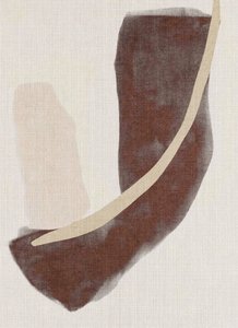 Abstrakcyjne, ziemiste kształty