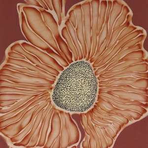  autorstwa Alma