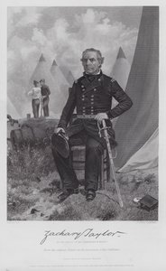 Zachary Taylor (grafika) autorstwa Alonzo (after) Chappel