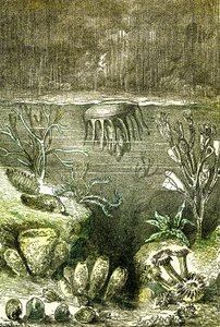 Prehistoire-Terre et Mers: Początek okresu sylurskiego (J. Rengade. Rysunek Demarle. 1885 autorstwa Alphonse Demarle