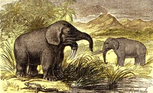 Okres prehistoryczny-miocen: Od prawej do lewej: Dinotherum i Mastodonte. Stworzenie naturalne i istoty żywe. Rysunek A. Demarle