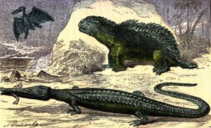 Prehistoria - okres jurajski: teleozaur i hyleozaur. Pterodaktyl na górze. Stworzenie naturalne i istoty żywe. Rysunek A. Demarle