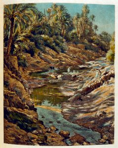 Ilustracja Dineta z "Mirages" Sceny z życia arabskiego. 1906. Mirages, Scenes De La Vie Arab została zilustrowana przez Etienne Dineta z komentarzem Silmana Ben Ibrahima Bamera. Nasreddine Dinet urodził się jako Alphonse-Etienne Dinet; (1861-1929) był Fran autorstwa Alphonse Etienne Dinet