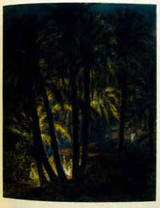 Ilustracja Dineta z "Mirages" Sceny z życia arabskiego. 1906. Mirages, Scenes De La Vie Arab została zilustrowana przez Etienne Dineta z komentarzem Silmana Ben Ibrahima Bamera. Nasreddine Dinet urodził się jako Alphonse-Etienne Dinet; (1861-1929) był Fran autorstwa Alphonse Etienne Dinet