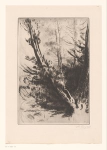 drzewa autorstwa Alphonse Legros (signed by artist)