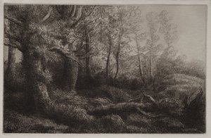 Studium leśne autorstwa Alphonse Legros