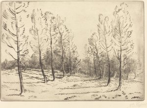 Aleja Topoli autorstwa Alphonse Legros
