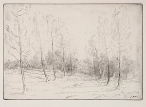 Aleja Topoli. autorstwa Alphonse Legros