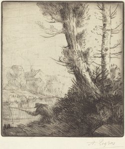 Brzegi Oise (Bord de l
