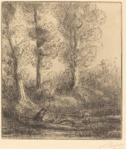 Brzegi Saint-Pre (Rive du Saint-Pre) autorstwa Alphonse Legros