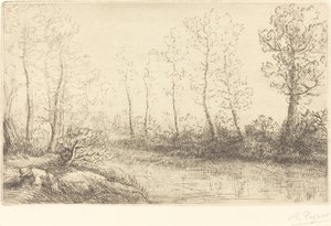 Brzozy: Skraj wody widziany w porannym świetle Brzozy: Skraj wody widziany w porannym świetle. autorstwa Alphonse Legros
