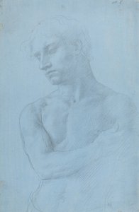 Popiersie nagiego mężczyzny. autorstwa Alphonse Legros