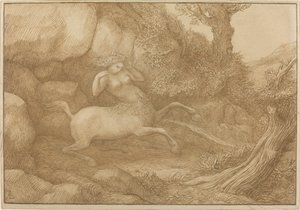 Kobieta centaur.