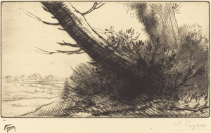 Narożnik ścieżki Na rogu ścieżki. autorstwa Alphonse Legros