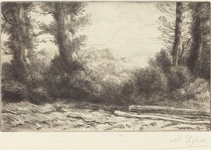Edge of the Wood Lisiere de bois. autorstwa Alphonse Legros